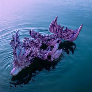 Baby Coral Reef Dragon