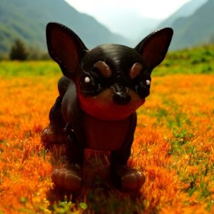Small Chihuahua Dog