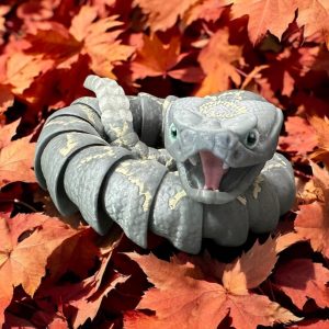 Diamond Back Cartoon Rattlesnake