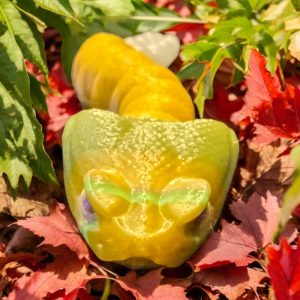 Baby Cartoon Rattlesnake