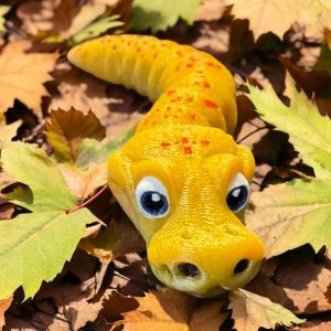 Baby Ball Python Snake